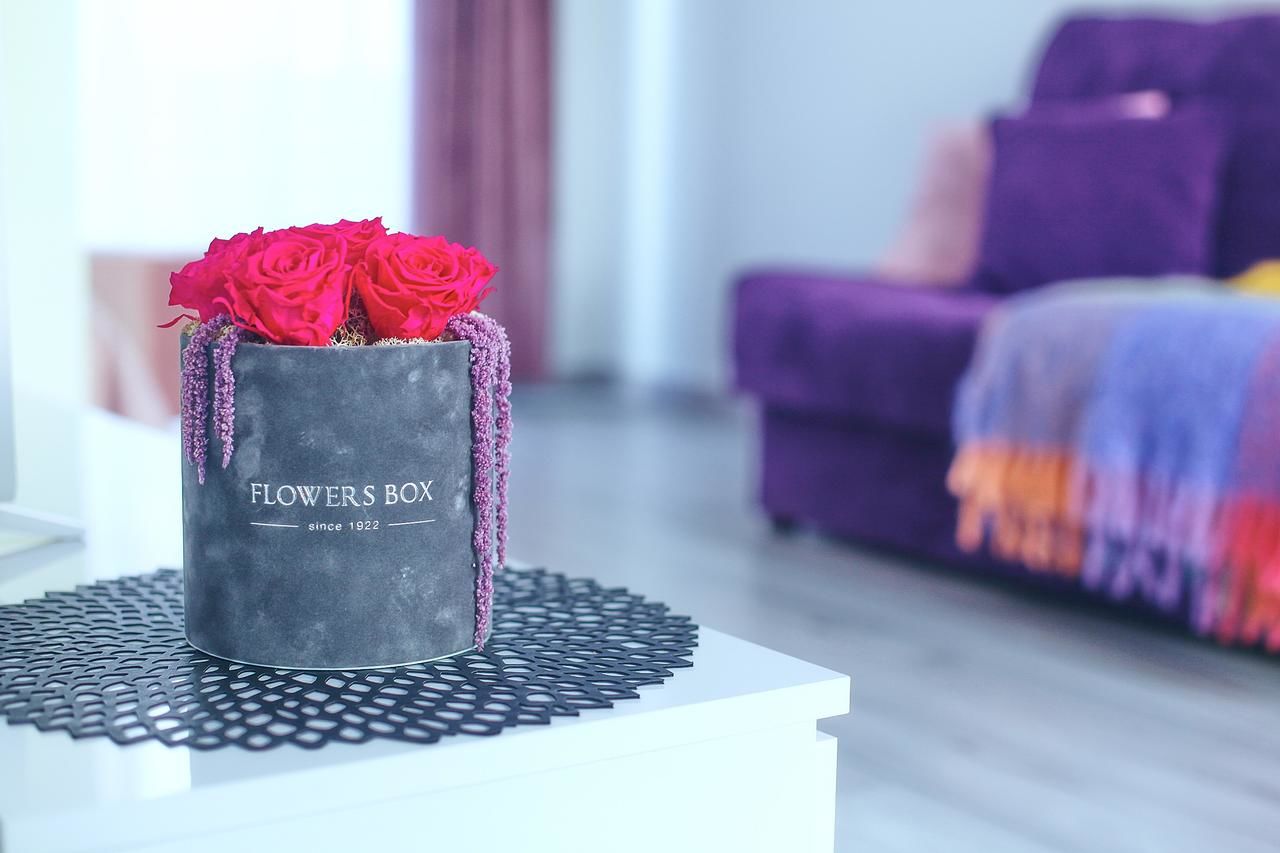 Апартаменты Hubertus & New Modern Apartment Каунас