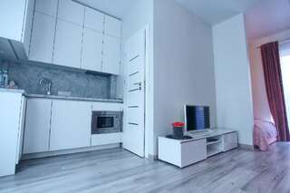 Апартаменты Hubertus & New Modern Apartment Каунас Апартаменты с террасой-21